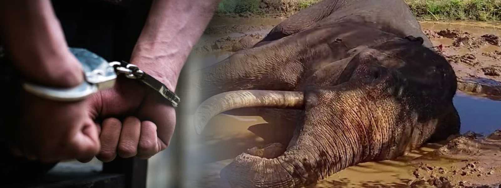 කාවන්තිස්සට වෙඩි තැබූ සැකකරුවන් 02ක් රිමාන්ඩ්..